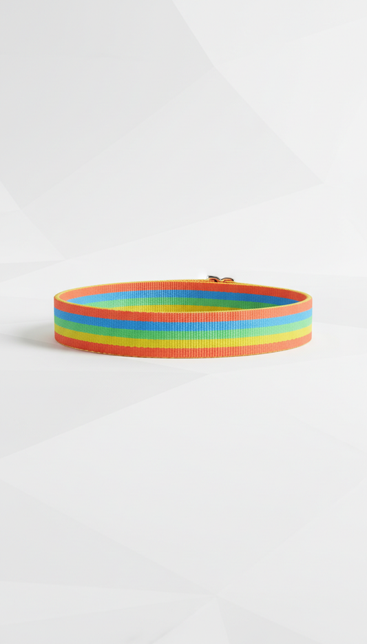 Rainbow Stripe Cat Collar